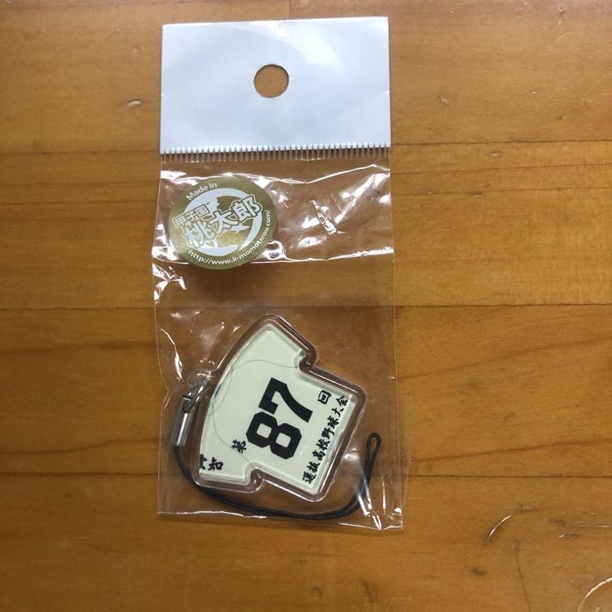 甲子園桃太郎  豊橋工業高校 Amazon.co.jp: 甲子園桃太郎 豊橋工業高校 : おもちゃ